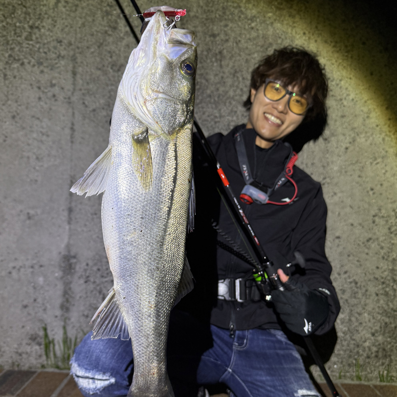 APIA WEB SHOP | シーバスロッド 都市型河川の最適解