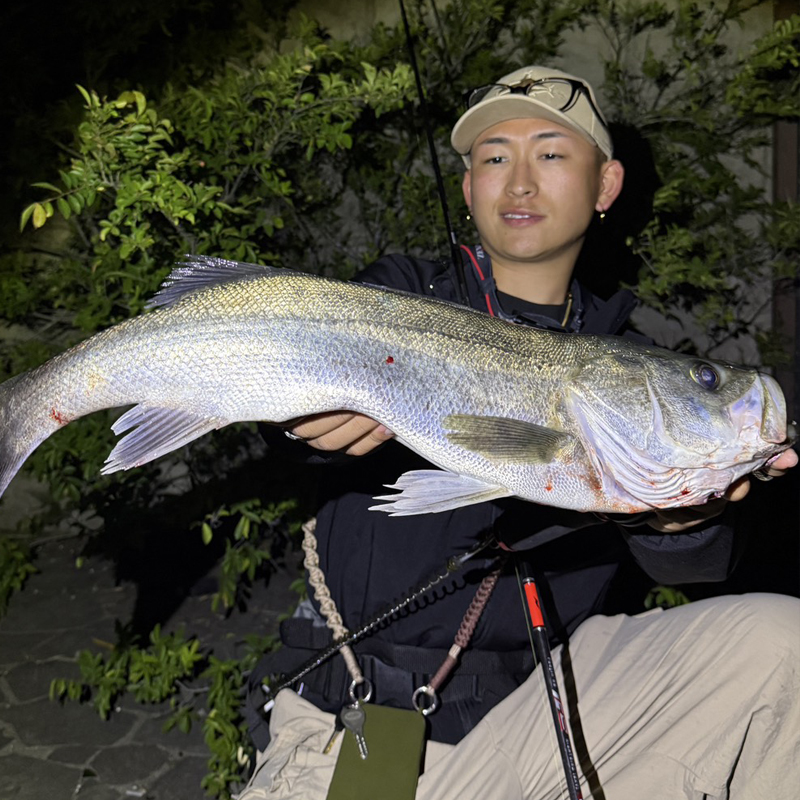バナー6