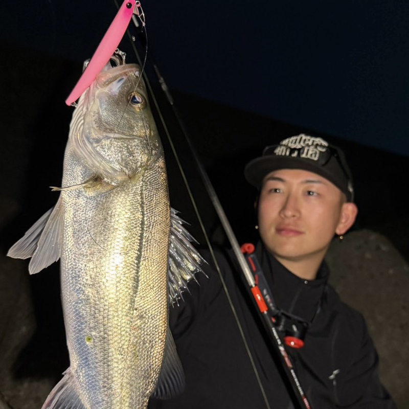 APIA WEB SHOP | シーバスロッド 都市型河川の最適解