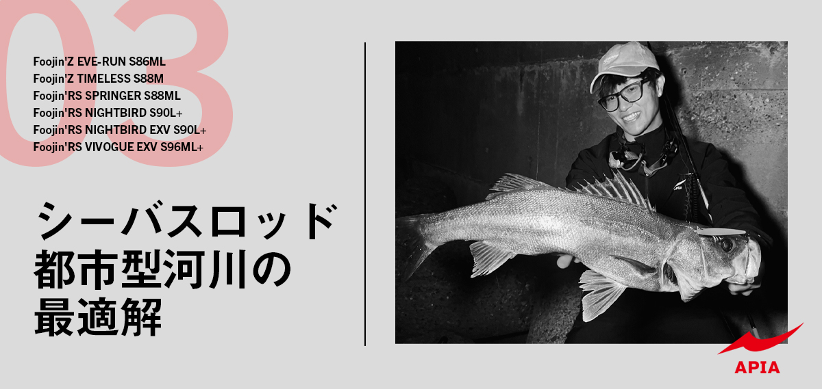 APIA WEB SHOP |